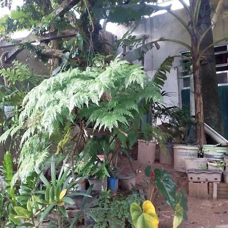 Hostel El Caleuche Rio das Ostras Eksteriør billede